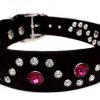 Tiara on Black 1"