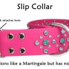 Princess Collar rings