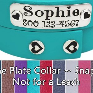 Personalized Dog Collar Hearts