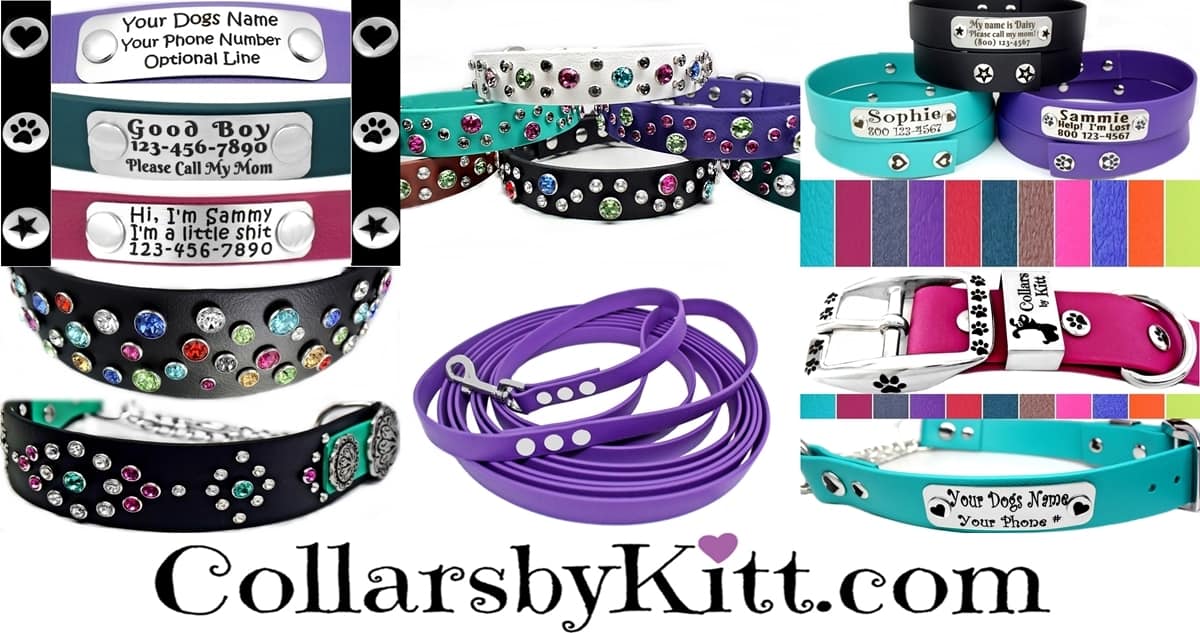 Why Collars by Kitt? Collars by Kitt