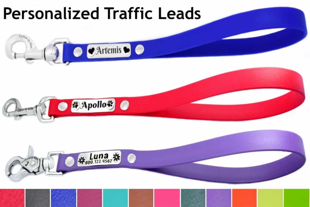 Biothane Traffic Leash Personalized 5/8" wide Collars by Kitt