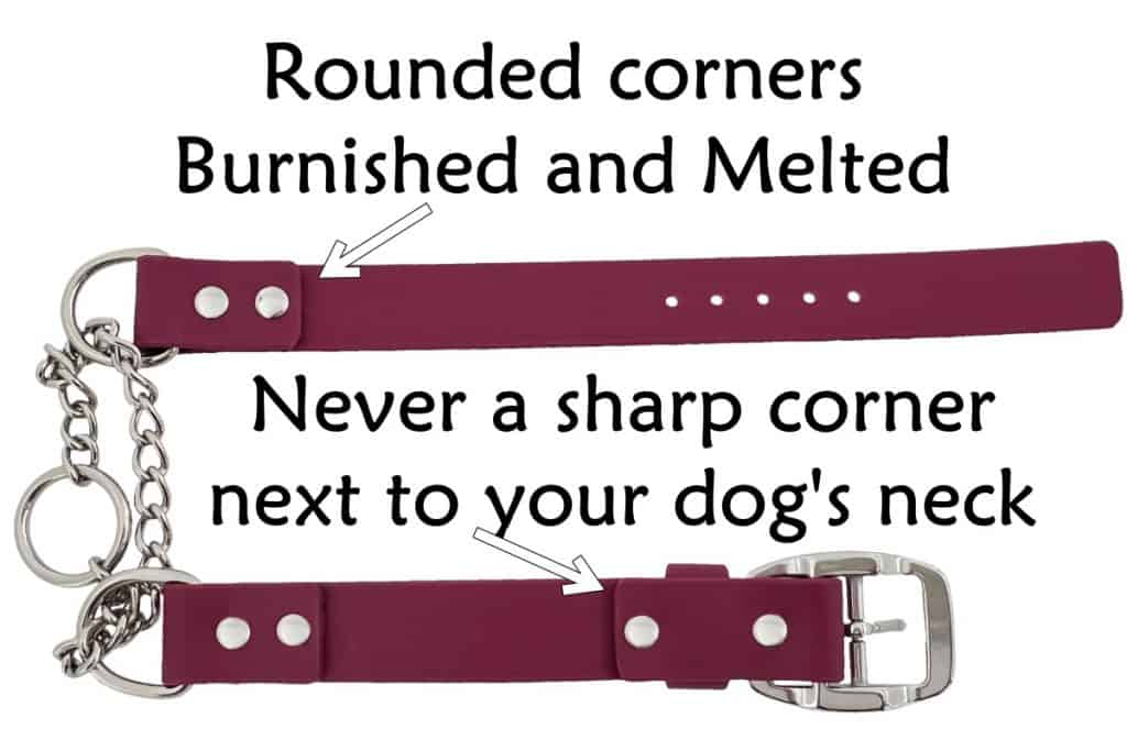 Biothane Martingale Dog Collar Collars by Kitt