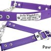 Biothane Martingale Dog Collar paws