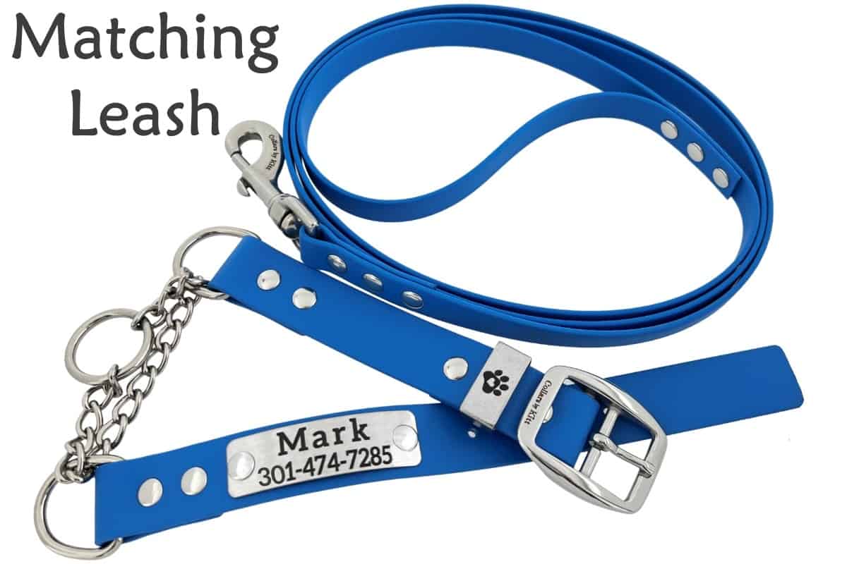 Biothane Martingale matching leash