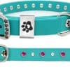 Small Collar turquoise