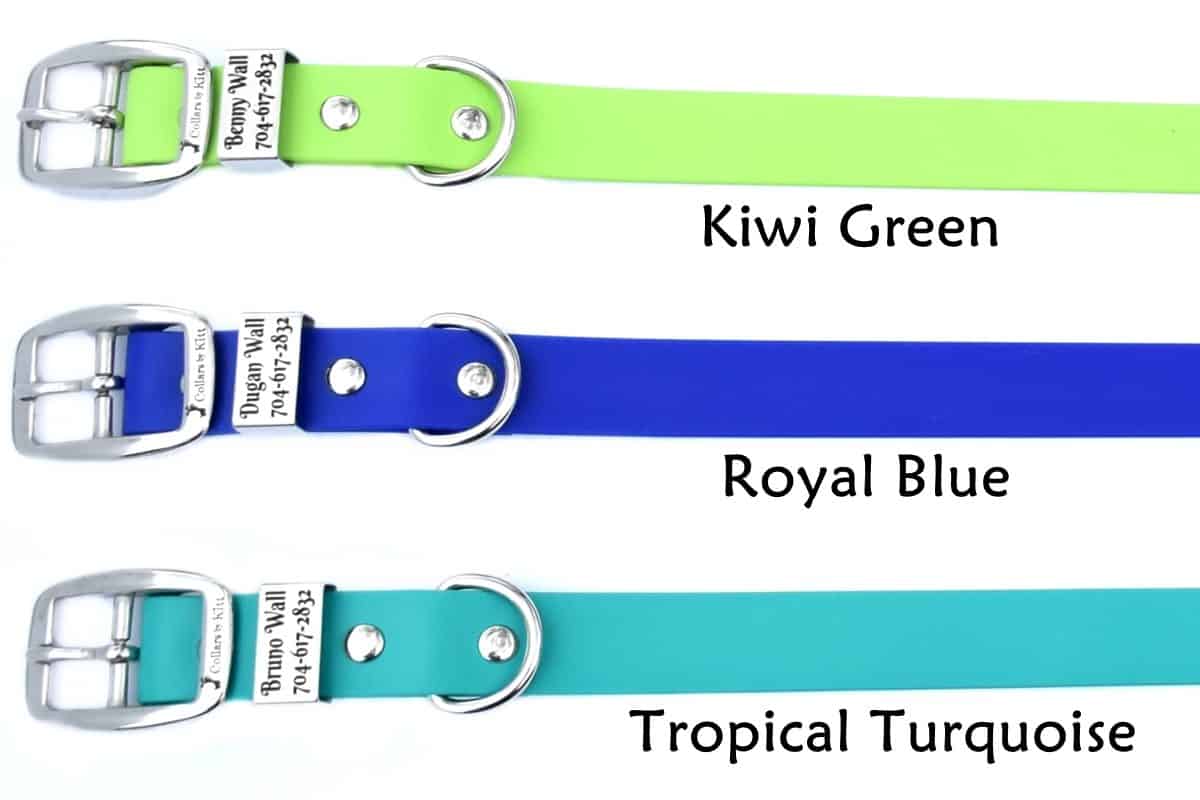 Biothane ID Collars kiwi blue turq