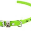 Smalll Collar Kiwi buckle