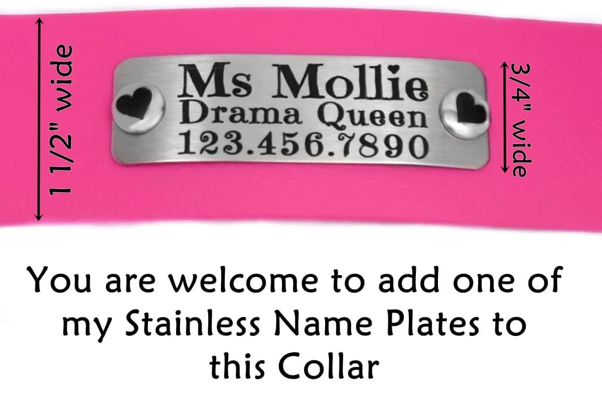 Wide Biothane Collar name plate