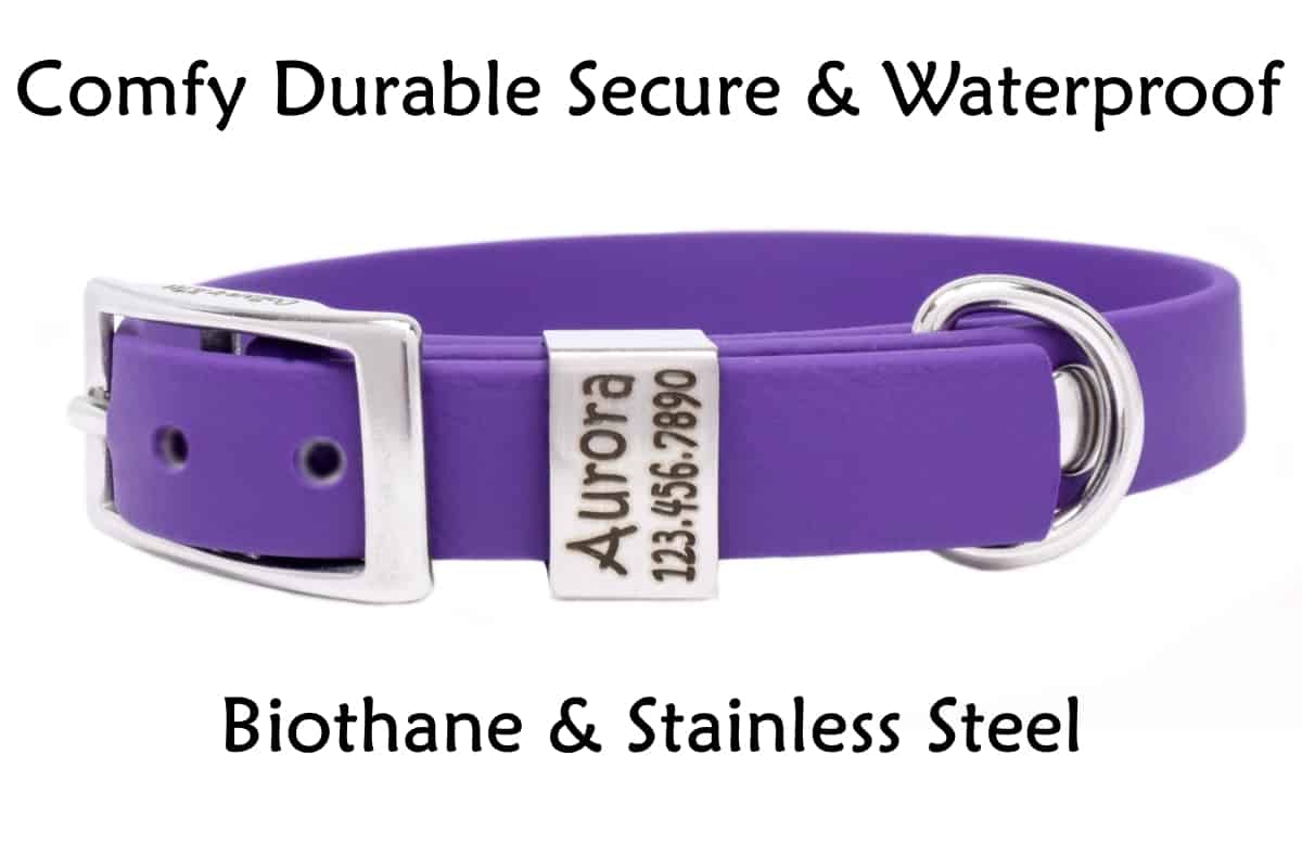 Small Biothane ID Collar purple