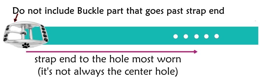 How to Measure Buckle