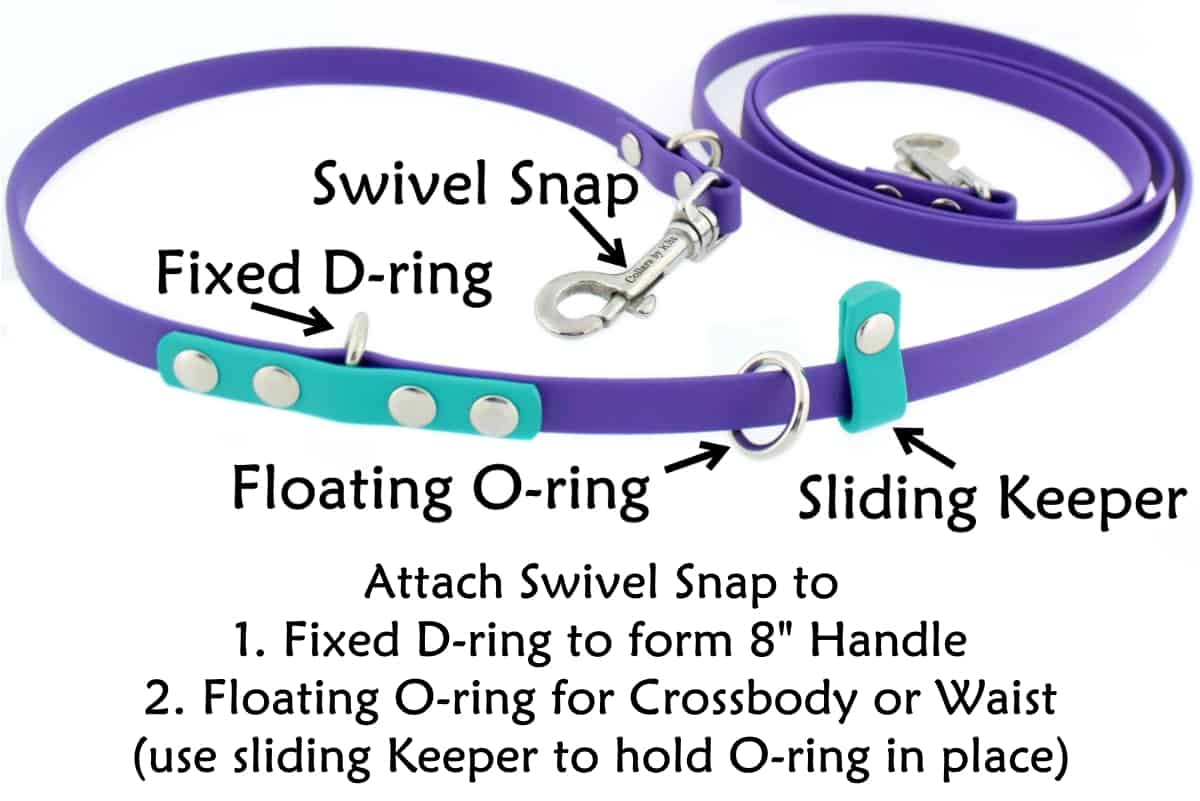 Hands Free Dog Leash for Smalll Dogs text