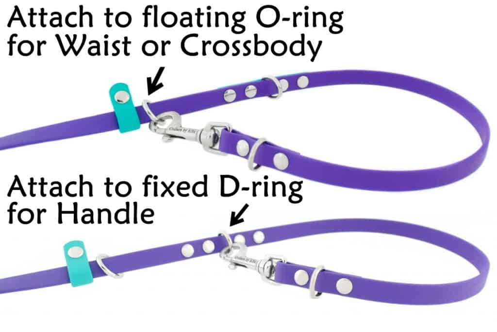 Hands Free Leash for Small Dogs 1/2" wide Collars by Kitt