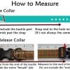 How to Measure 2021