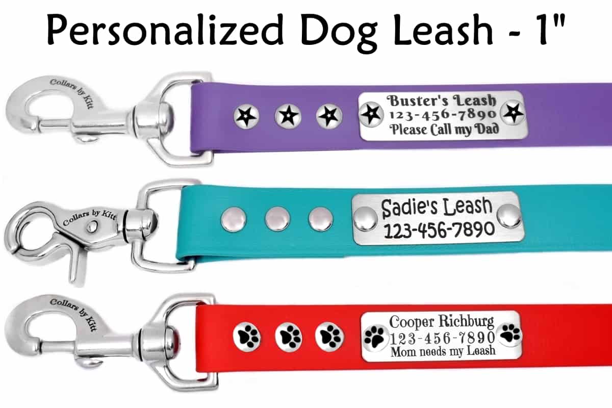Personalized Biothane Dog Leash 1"