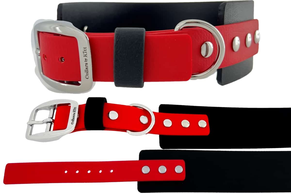 Wide Two Inch Biothane Collar red