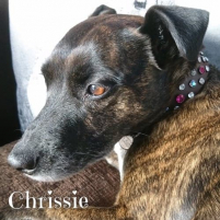 Claires Chrissie