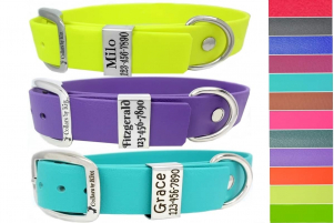 ID Collars 1"