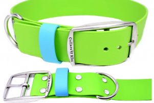 Sport Collar 1 1/2"