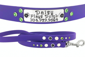 Bit of Bling Collar & Leash