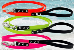 Multi Color Leashes